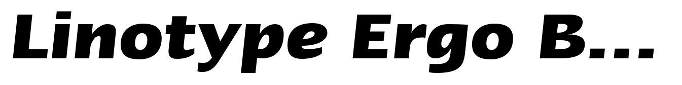 Linotype Ergo Bold Italic